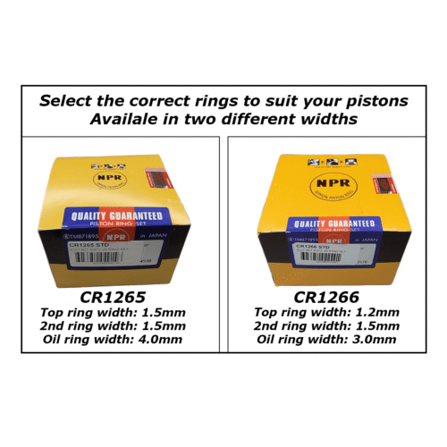 Mitsubishi Pajero NG 3.0 Lt Petrol 6G72 12v - Ring Set