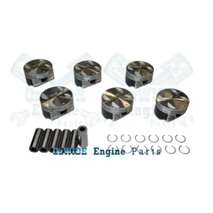 Holden LEO LY7 piston set